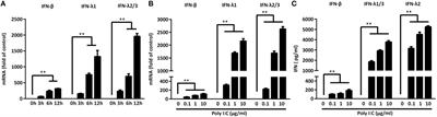 Human Intestinal Epithelial Cells Release Antiviral Factors That Inhibit HIV Infection of Macrophages